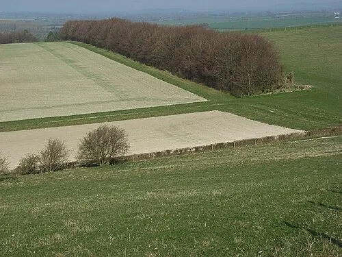 Sarsen Way