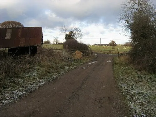 Bridleway nearing Roves Farm