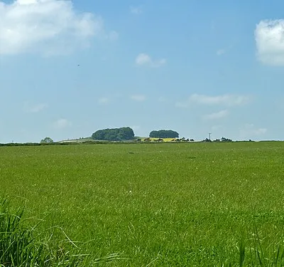 Fields west of Bassett Road