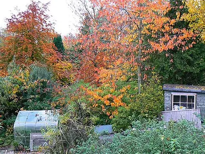 A garden in Bishopstone, Swindon This is a view north from the main road through the village opposite the pond. A pleasant mix of autumnal colours is present in a garden that isn't manicured to within an inch of its life.