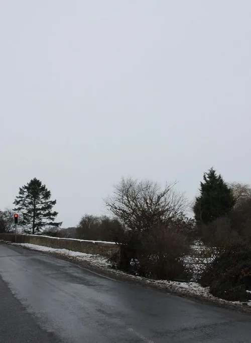 Buckland Marsh