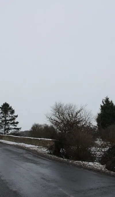 Approach to Tadpole Bridge