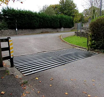 Cattle grid on Rodborough Common