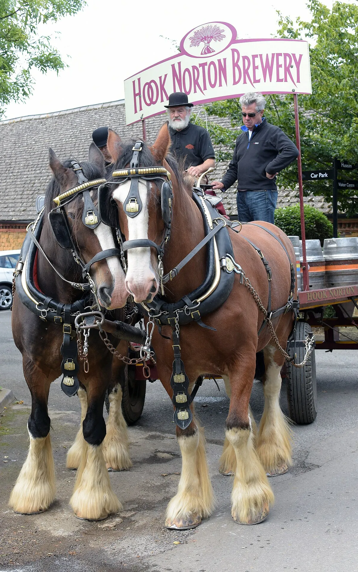 One of the last drays in regular use, about to deliver Hook Norton beer to a village pub nearby.