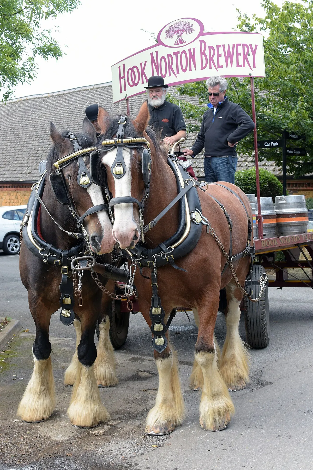 One of the last drays in regular use, about to deliver Hook Norton beer to a village pub nearby.