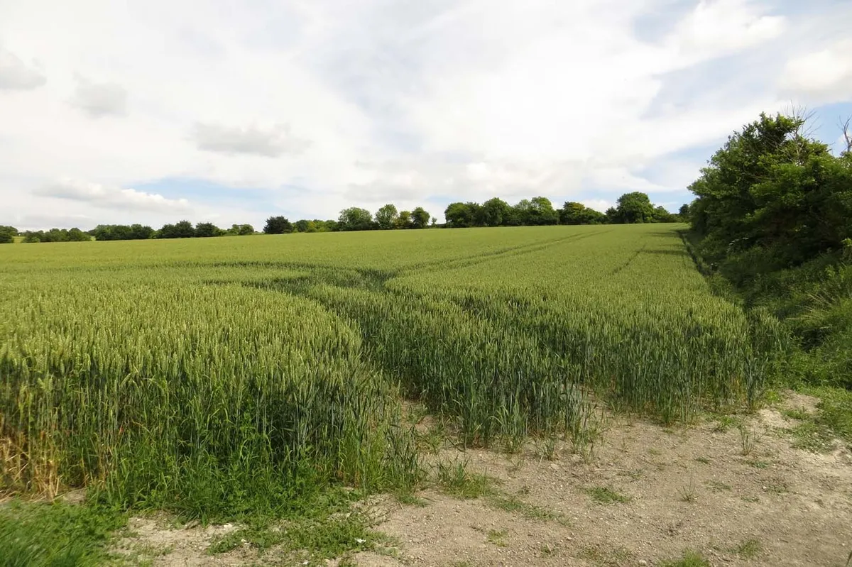 An arable field near Idstone