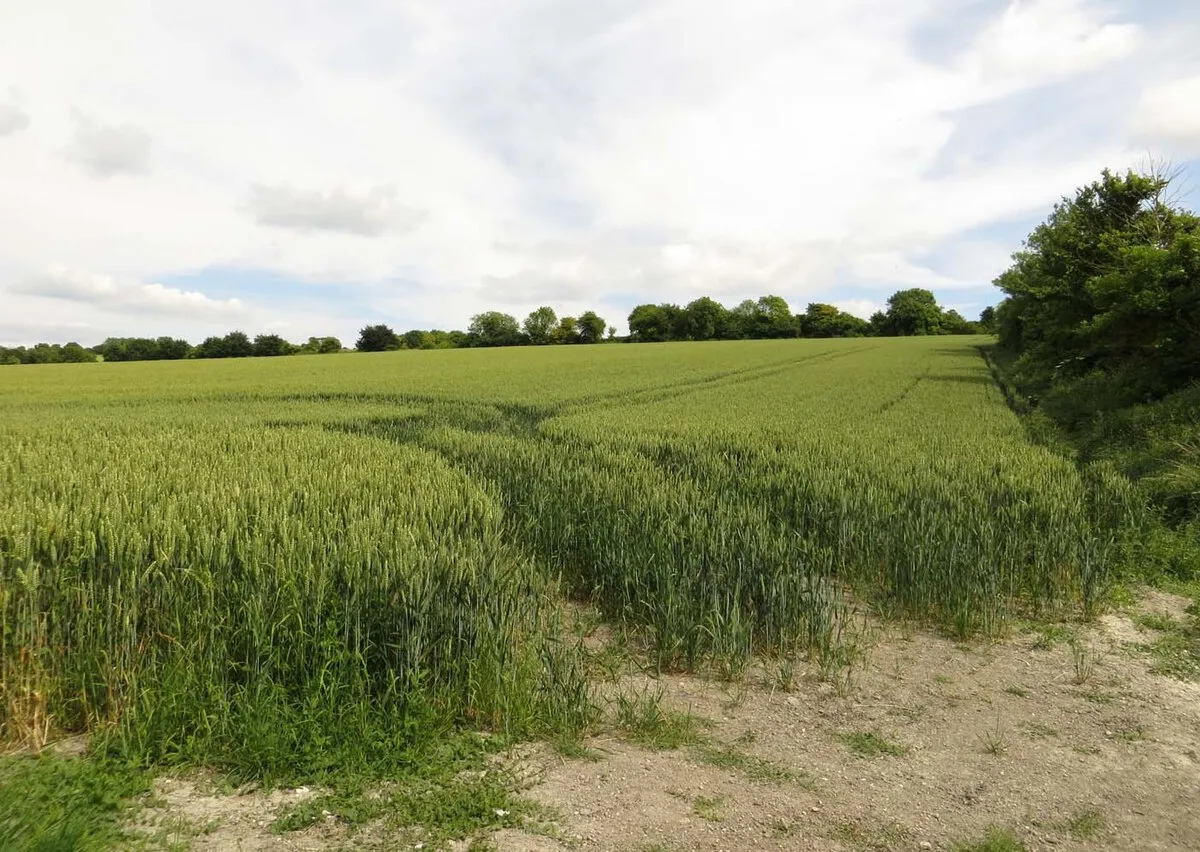 An arable field near Idstone