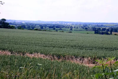 An arable field near Williamscot
