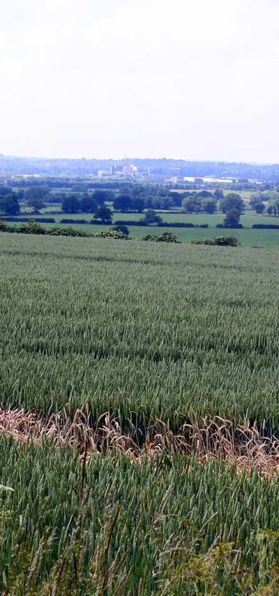 An arable field near Williamscot