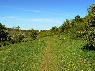Crickley Hill Country Park (17). The photograph shows a length of footpath leading away from the viewpoint to the north-east. Next image 1300317