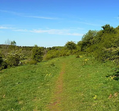 Crickley Hill Country Park (17). The photograph shows a length of footpath leading away from the viewpoint to the north-east. Next image 1300317