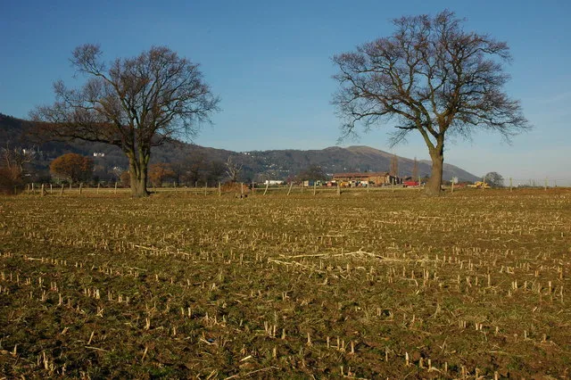 Brickbarns Farm, Malvern Wells Brickbarns Farm near Malvern Wells, viewed here from the south, across a harvested field of maize. The highest point in the Malvern Hills, the Worcestershire Beacon is directly above the farm buildings.