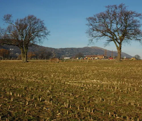 St. Wulstan's Local Nature Reserve