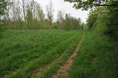 Bridleway near Vale Golf Club