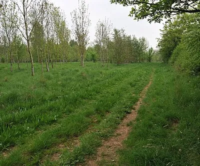 Bridleway near Vale Golf Club