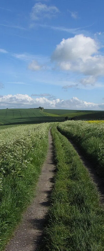 Aldbourne Circular Route near Liddington Hill