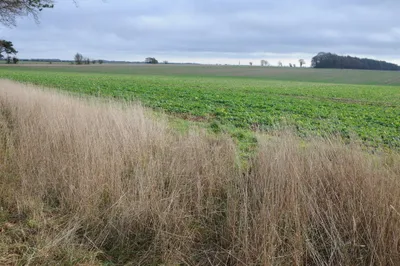 Arable land - North Cerney