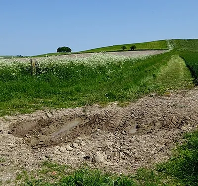 Avebury Ridgeway Walk