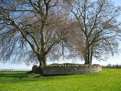 Windmill Tump 2 - Rodmarton, Gloucestershire