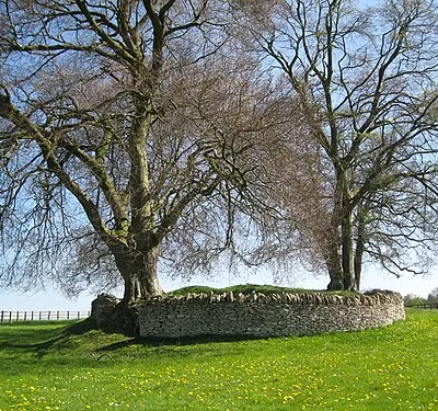 Windmill Tump 2 - Rodmarton, Gloucestershire