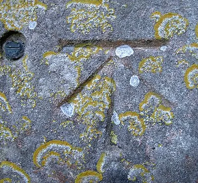 1GL Boltmark on Box church