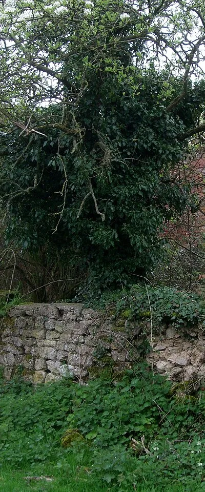 Derelict farmhouse, Parkgate Farm