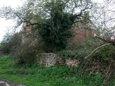Derelict farmhouse, Parkgate Farm