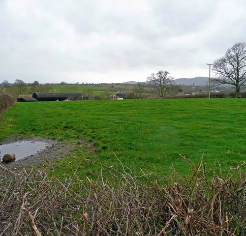 Hook Bank