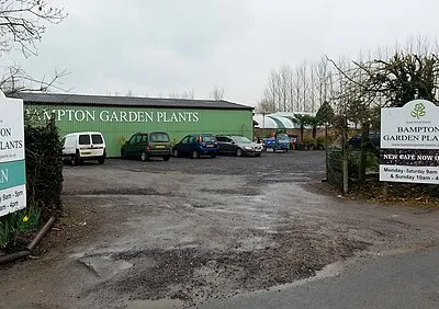 Bampton Garden Plants, Buckland Road