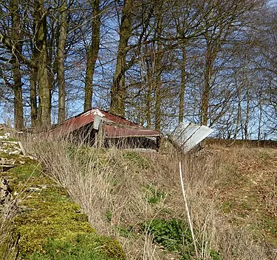 Derelict shed by Salt Way