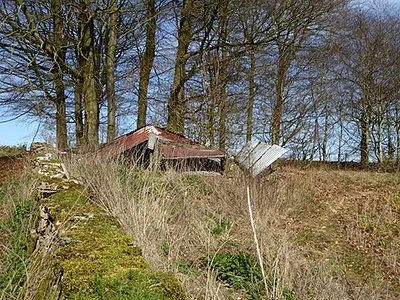 Derelict shed by Salt Way