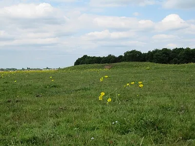 Round Hill