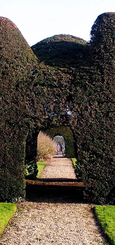 Great Chalfield Manor is a National Trust property in Wiltshire.  The garden, in arts and craft style, was designed by Alfred Parsons: it contains this unusual yew topiary in the form of a house.