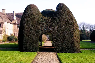 Great Chalfield Manor is a National Trust property in Wiltshire. The garden, in arts and craft style, was designed by Alfred Parsons: it contains this unusual yew topiary in the form of a house.