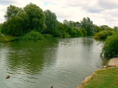 A view upstream, River Thames, Bablock Hythe