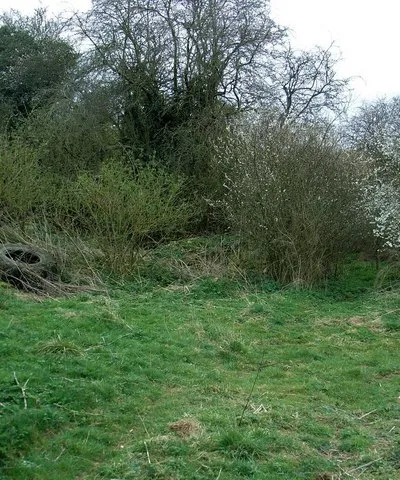 Blackford Barn In here are the remains of stone walls- presumably Blackford Barn.