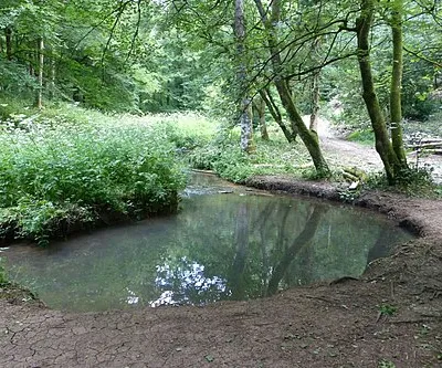 River Frome