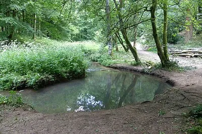 River Frome