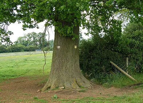 Round Cropredy Walk