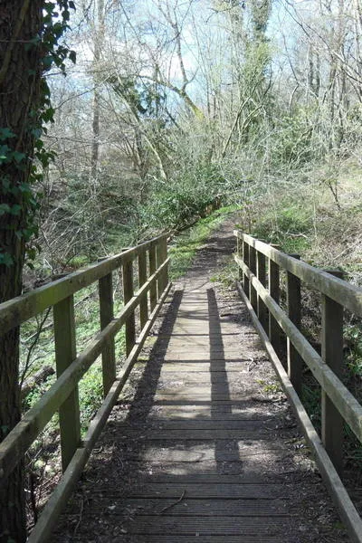 A footbridge near Jenkin's Farm