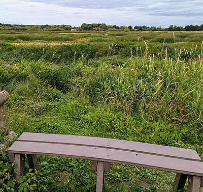 bench 2, Coombe Hill Wildlife Reserve
