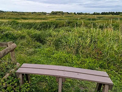 bench 2, Coombe Hill Wildlife Reserve