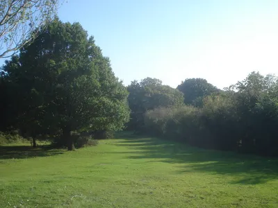 Common land on the Old Hills Looking south in an area often grazed by horses belonging to the nearby cottage.
