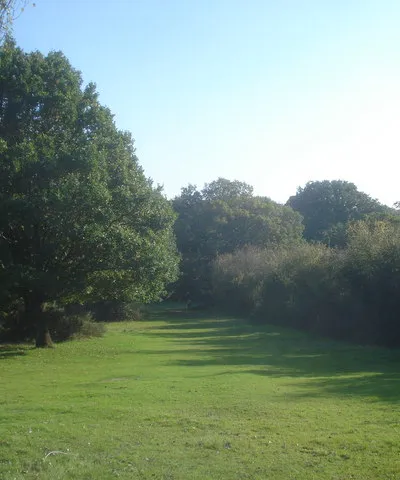 Common land on the Old Hills Looking south in an area often grazed by horses belonging to the nearby cottage.