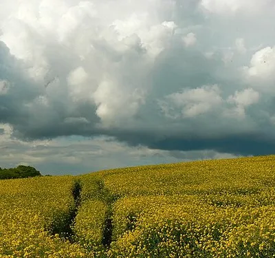 More rain clouds over Bishopstone, Swindon