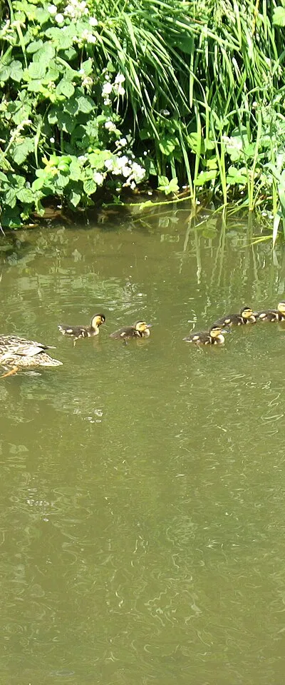 A happy family!