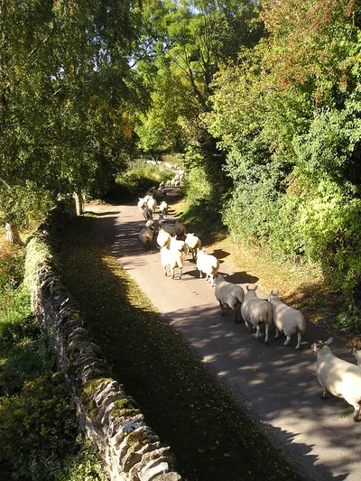 A Gentle Stroll