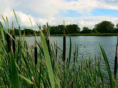 Whelford Pools Bird Hide