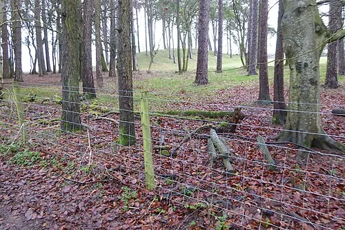 A glimpse of a long barrow