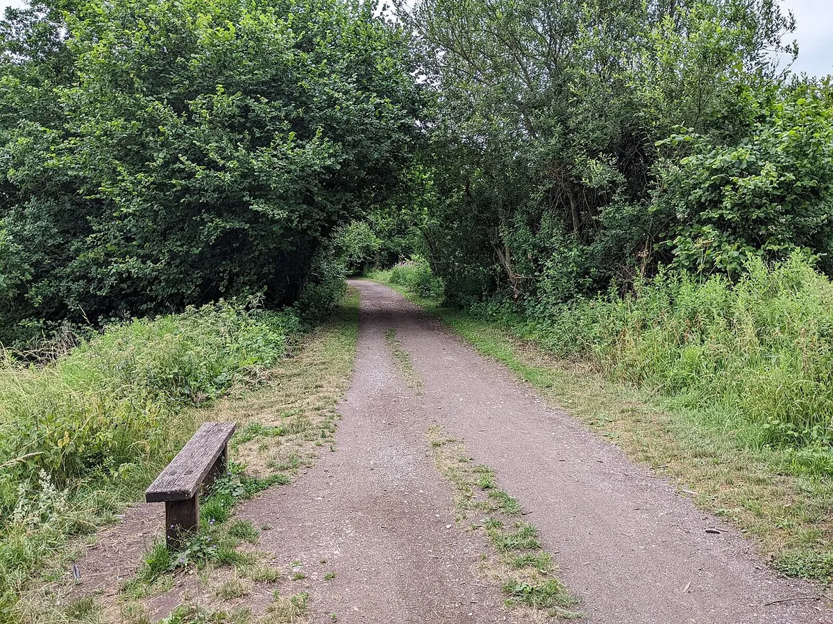 Bench next to the old railway track cycle route